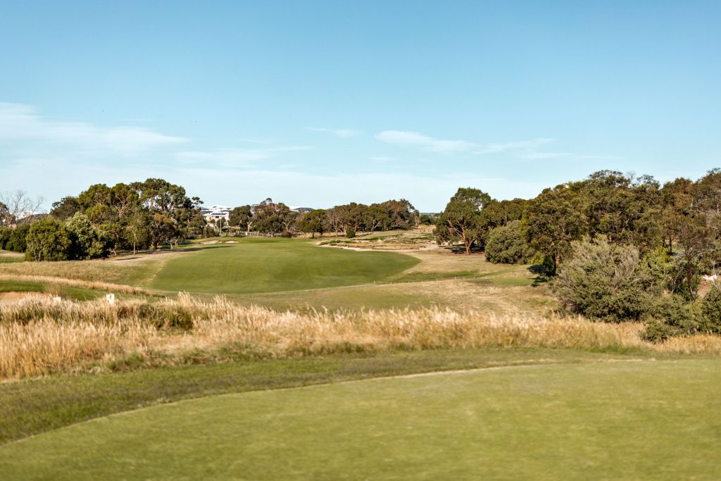 Contours_CurlewisGC_Nov23_Selected-5